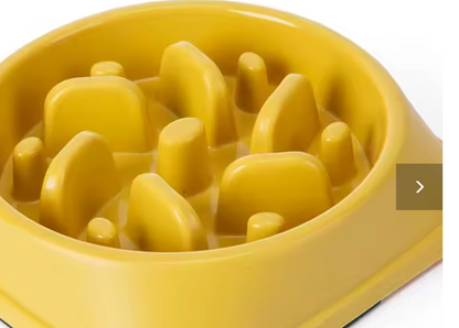Bol Anti- Glouton pour Chien- Repas Plus lent et Digestion Plus Confortable