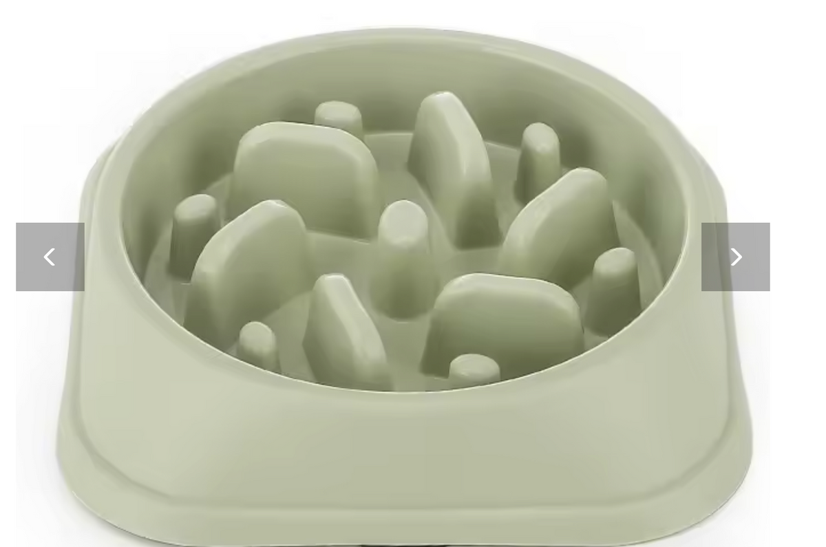 Bol Anti- Glouton pour Chien- Repas Plus lent et Digestion Plus Confortable
