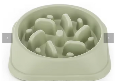 Bol Anti- Glouton pour Chien- Repas Plus lent et Digestion Plus Confortable