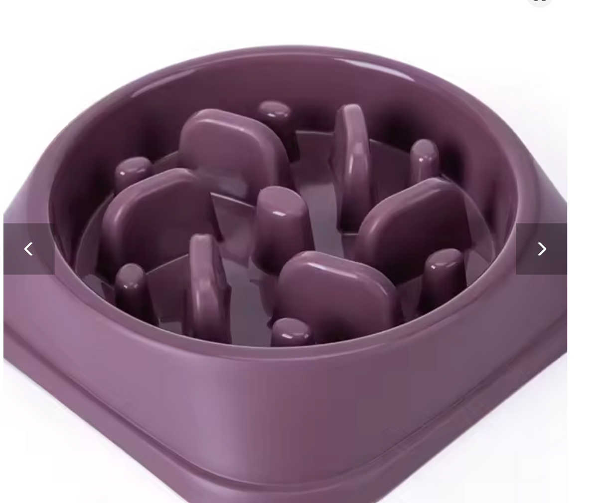 Bol Anti- Glouton pour Chien- Repas Plus lent et Digestion Plus Confortable