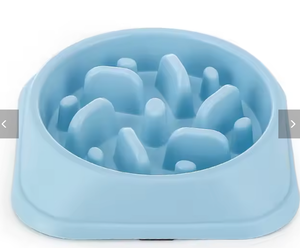 Bol Anti- Glouton pour Chien- Repas Plus lent et Digestion Plus Confortable