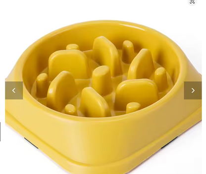 Bol Anti- Glouton pour Chien- Repas Plus lent et Digestion Plus Confortable