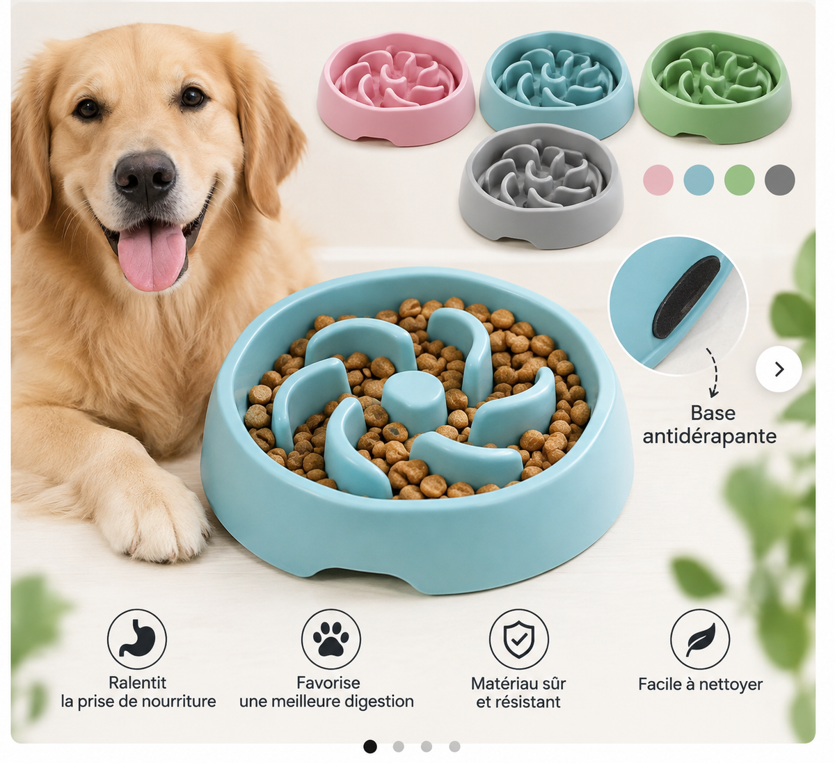 Bol Anti- Glouton pour Chien- Repas Plus lent et Digestion Plus Confortable